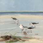 Sandpiper Cove II Art Print