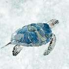 Under the Sea Turtle I