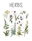Herbs