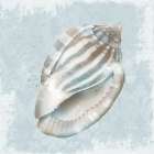Ocean Blue Shell I