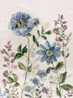 Blushing Blue Garden II Art Print