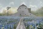 Lupine Field Art Print