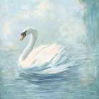 Swan Lake II