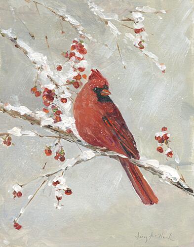 Cardinal on