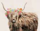 Highland Beauty Art Print