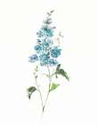 Teal Petals I Art Print