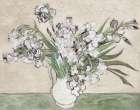 White Irises Art Print
