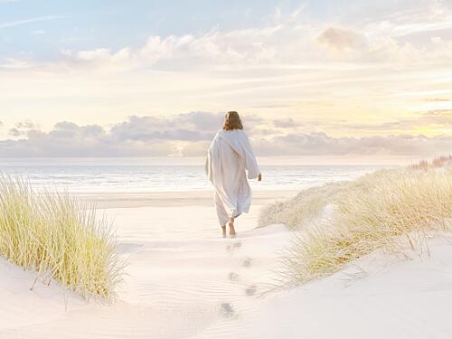 Jesus Walks on Pink Sands