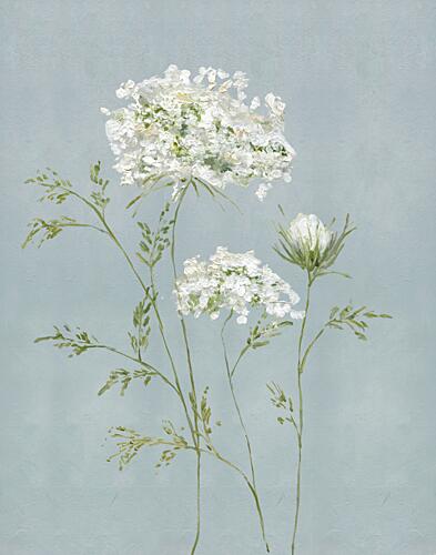 Summers Lacework I