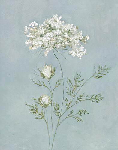 Summers Lacework II