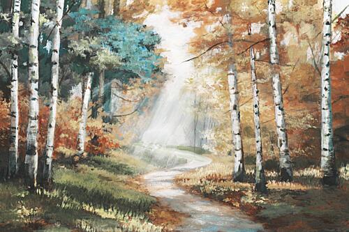 Woodland Path