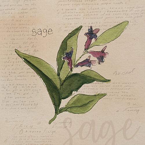 Sage