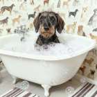 Glam Bath Girl II Art Print