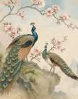 Majestic Peacocks I Art Print