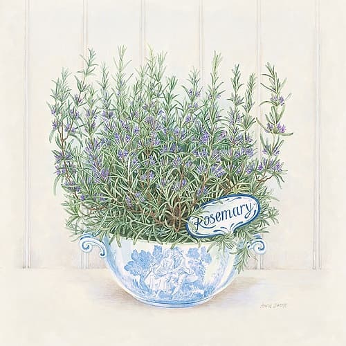 Rosemary Art Print