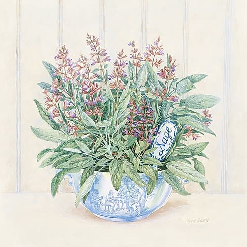 Sage Art Print