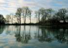 Frozen Reflection