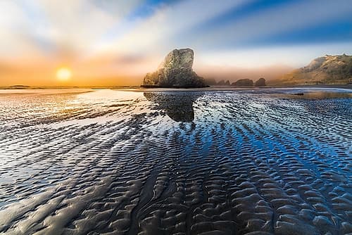 Light in the Dark Art Print