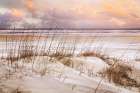 Whispers In the Dunes Art Print