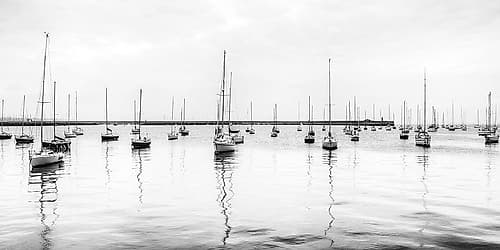 Anchored Sails Coastal Print