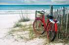Summer Breeze Art Print