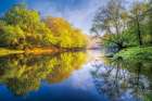 River Beauty Art Print