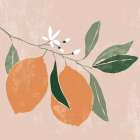 Orange Branch I Art Print