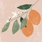 Orange Branch II Art Print