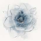 Blue Line Floral I Art Print