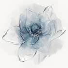 Blue Line Floral II Art Print