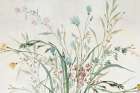 Wild Forest Flowers Art Print