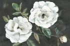 White Blooms Art Print