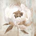 Ebony Floral II Art Print