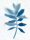 Modern Blue Botanical I Art Print