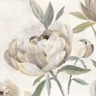 Lustrous Peonies I Art Print
