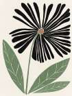 Bold Black Petal Bloom II Art Print