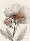 Delicate Lines of Natures Grace II Art Print