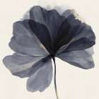 Petals of Midnight Serenity I Art Print