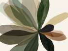 Natures Earthy Petals Unfold Art Print