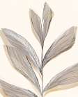 Flowing Lines of Natures Elegance II Art Print