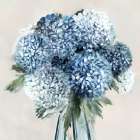 Blue Hydrangeas in Bloom Art Deco Print