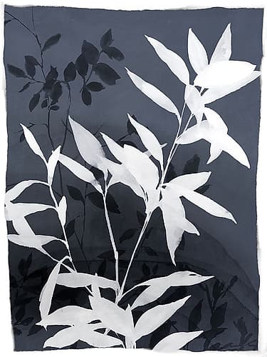 \
Monochrome Leaves in Contrast I Aquarelle reproduction
