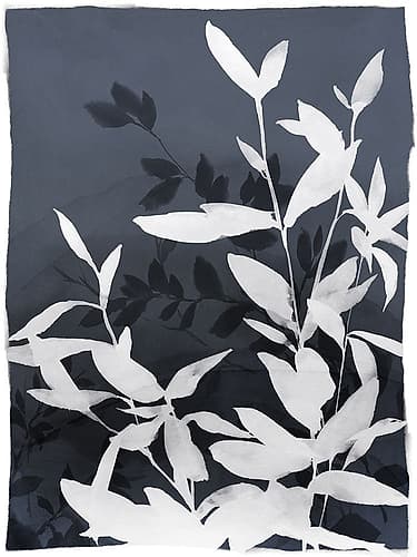 Monochrome Leaves in Contrast II Aquarelle reproduction