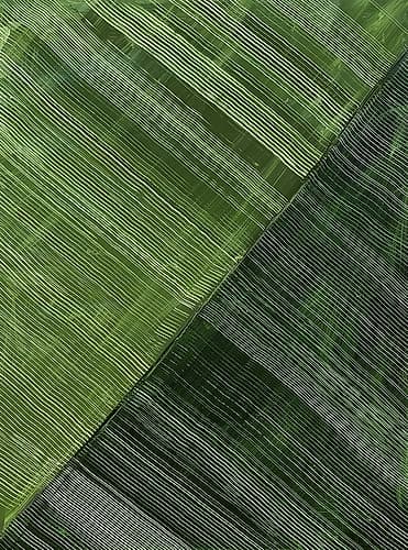 Green Stripes in Parallel Harmony II Art Print