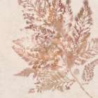 Coral Fern I Art Print