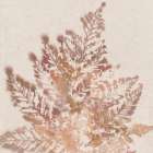 Coral Fern II Art Print