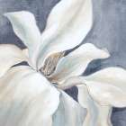 Natures Beauty Art Print