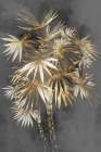 Golden Palm Tree Botanical Print