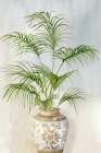 China Vase I Art Print