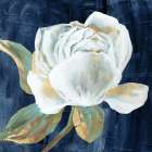 Blue Peony II Art Print